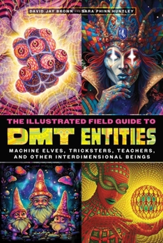 Paperback The Illustrated Field Guide to Dmt Entities: Machine Elves, Tricksters, Teachers, and Other Interdimensional Beings Book