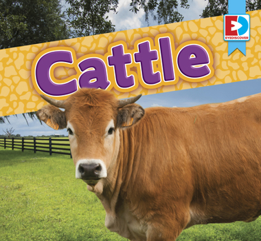 Cattle