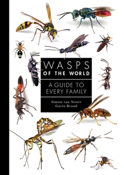 Hardcover Wasps of the World: A Guide to Every Family Book