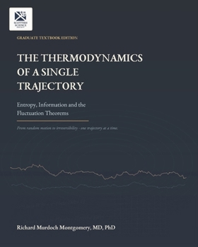 The Thermodynamics of a Single Trajectory: Entropy, Information and the Fluctuation Theorems (Gradute Physics)