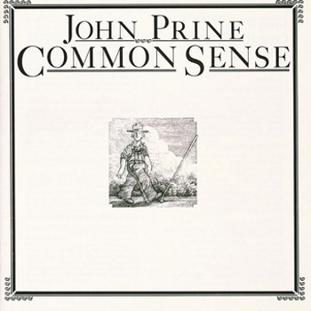 Vinyl Common Sense Book