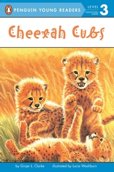 Paperback Cheetah Cubs Book
