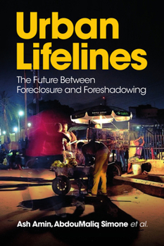 Hardcover Urban Lifelines: The Future Between Foreclosure and Foreshadowing Book
