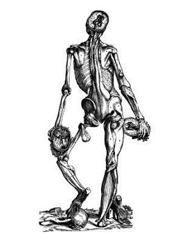 Anatomy Notebook: Muscles 16 - Andreas Vesalius Anatomy Art College Ruled Notebook | 110 Pages (Andreas Vesalius White Cover)