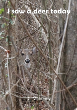 Paperback I saw a deer today Book