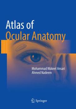 Paperback Atlas of Ocular Anatomy Book