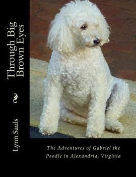 Paperback Through Big Brown Eyes: The adventures of Gabriel the poodle in Alexandria, Virginia Book