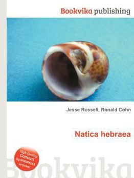 Paperback Natica Hebraea Book