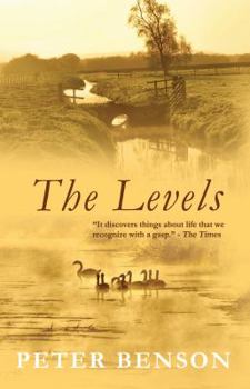 Paperback The Levels Book