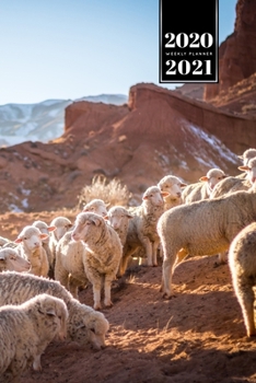 Sheep Lamm Shepherd Herder Farmer Week Planner Weekly Organizer Calendar 2020 / 2021 - Herd in Desert: Cute Wildlife Animal Pet Bullet Journal Notebook Diary in 6” x 9” Inch Pocket Size