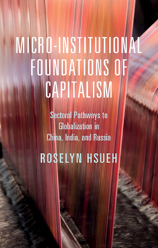 Hardcover Micro-institutional Foundations of Capitalism Book