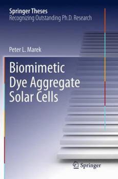 Paperback Biomimetic Dye Aggregate Solar Cells Book