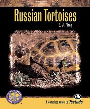 Paperback Russian Tortoises Book