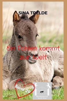 Paperback Ein Fohlen kommt zur Welt [German] Book