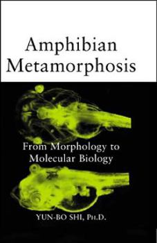 Hardcover Amphibian Metamorphosis: From Morphology to Molecular Biology Book