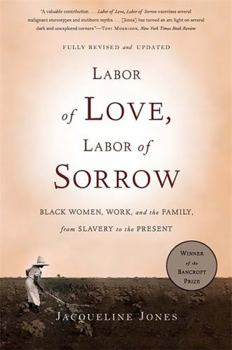 Labor of Love, Labor of Sorrow: Black Women, Work, and the Family from Slavery to the Present