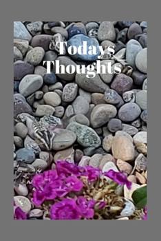 Todays Thoughts: A paperback journal to reflect and write down all your thoughts, ideas, and dreams. 6x9 120 pages. Beautiful rock garden with sweet williams flowers