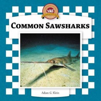 Common Sawsharks - Book  of the Sharks