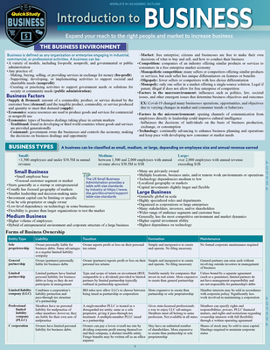 Introduction to Business: a QuickStudy Laminated Reference Guide
