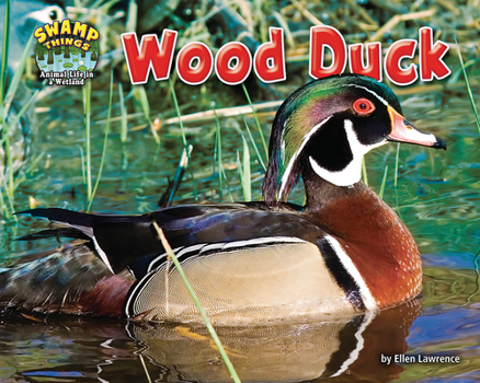 Wood Duck - Book  of the Swamp Things: Animal Life in a Wetland