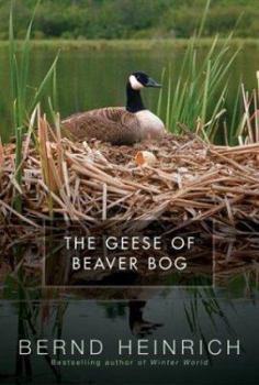 Hardcover The Geese of Beaver Bog Book