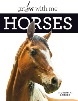 Seedlings: Horses
