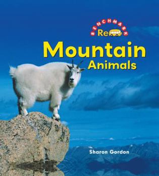 Library Binding Mountain Animals Book