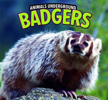Paperback Badgers Book