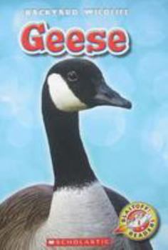 Hardcover Geese Book