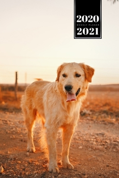 Golden Retriever Dog Calendar Week Planner 2020 / 2021 - Short Sunset Walk: Pup Puppy Doggie Pet Owner Weekly Bullet Journal Notebook Diary in 6” x 9” Inch Pocket Size