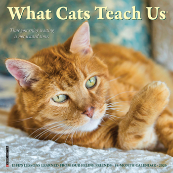Mini-Disc What Cats Teach Us 2026 Mini Wall Calendar Book