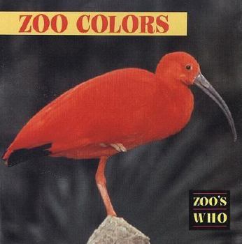 Hardcover Zoo Colors Book