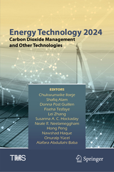 Hardcover Energy Technology 2024: Carbon Dioxide Management and Other Technologies Book