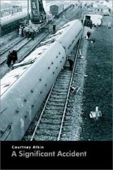 Paperback A Significant Accident Book