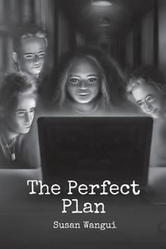 Paperback The Perfect Plan Book