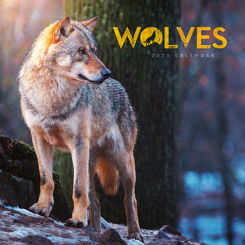 Calendar 2025 Wolves Mini calendar: Plastic Free Packaging Book