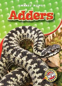 Adders - Book  of the Snakes Alive