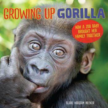 Library Binding Growing Up Gorilla: How a Zoo Baby Brought Her Family Together Book