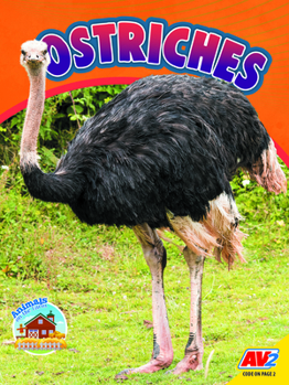 Library Binding Ostriches Book