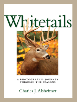 Hardcover Whitetails: A Photographic Journey Through the Seasons Book