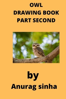 Paperback Owl Drawing Book