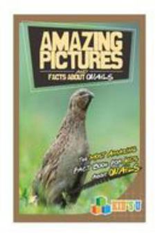 Paperback Amazing Pictures and Facts about Quails: The Most Amazing Fact Book for Kids about Quails Book