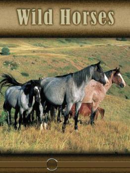 Hardcover Wild Horses (Eye to Eye with Horses (High Interest)) Book
