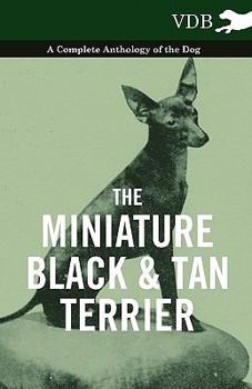 Paperback The Miniature Black and Tan Terrier - A Complete Anthology of the Dog Book