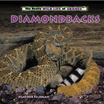 Library Binding Diamondbacks Book