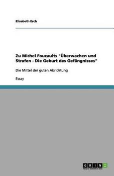 Zu Michel Foucaults "Überwachen und Strafen - Die Geburt des Gefängnisses"