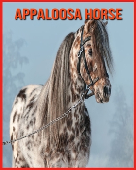 Paperback Appaloosa Horse: Incredible Pictures and Fun Facts about Appaloosa Horse Book