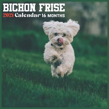 Bichon Frise 2021 Calendar: Official Small Breed Dog Wall Calendar 2021