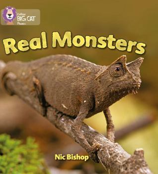 Paperback Real Monsters: Yellow / Band 3 Book