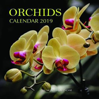 Orchids Calendar 2019: 16 Month Calendar